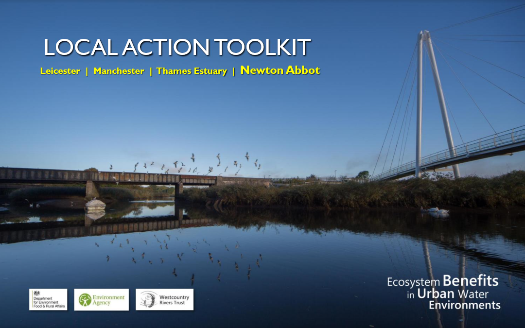 Local Action Project – Newton Abbot